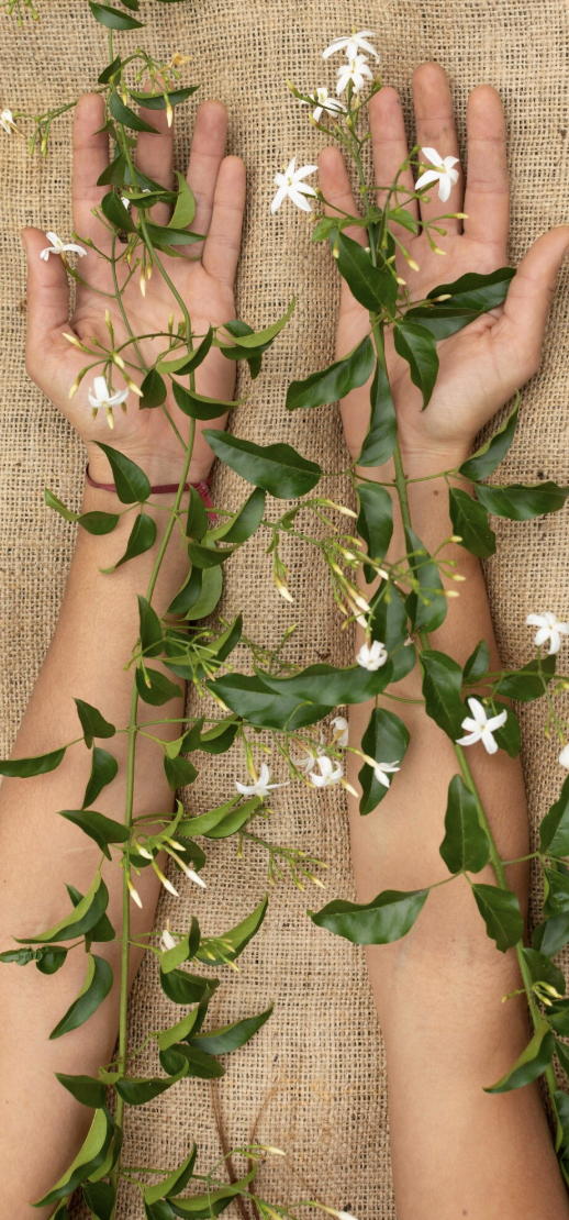 Naturopatia Naturopatia